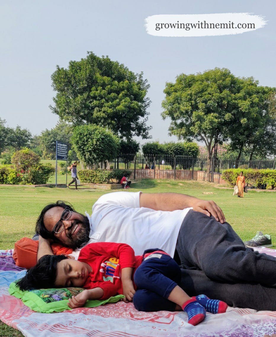 Plan a Picnic Day with your family at Indraprastha Park, Delhi
