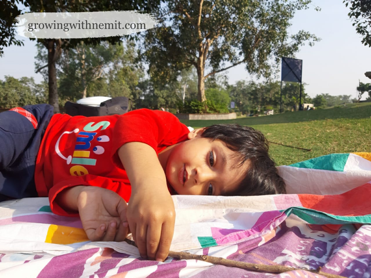 Plan a Picnic Day with your family at Indraprastha Park, Delhi