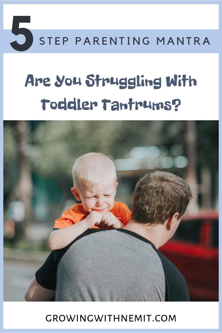 Struggling with Toddler Tantrums? Check out our 5-Step Parenting Mantra