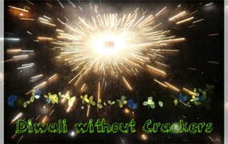 This Diwali No to Crackers