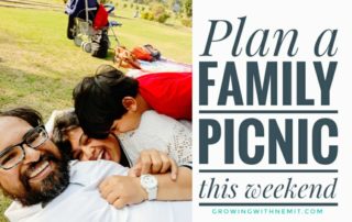 Plan a Picnic Day with your family at Indraprastha Park, Delhi