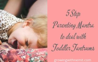 Struggling with Toddler Tantrums? Check out our 5-Step Parenting Mantra