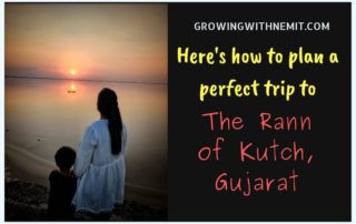 Visiting The Rann of Kutch? Here’s how to plan a perfect trip