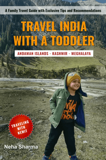 Travel India With A Toddler