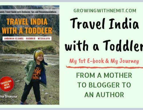 ‘Travel India with a Toddler’ (Debut E-book) – Mother to Blogger to Author