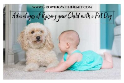 Some people think that a dog can be a threat to the child; that is not true. In fact, there are advantages if you are raising your child with a pet dog.