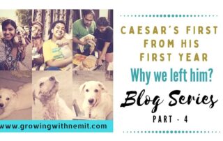 Here are Caesar's first from the first year. From his first outing to his first road trip with us. But why we had to keep him away from us?