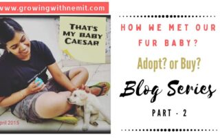 It took us some time to realize our mistake but today I want to share our learnings with you all in the hope to spread awareness. How We Met Our Fur Baby?