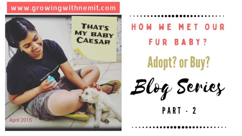 It took us some time to realize our mistake but today I want to share our learnings with you all in the hope to spread awareness. How We Met Our Fur Baby?