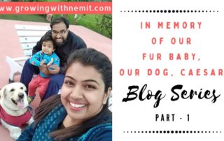 This is a blog series in memory of our fur baby, Caesar. He left us alone in this troubled world in 2018. Hope this would help liberate the grief & heal me.