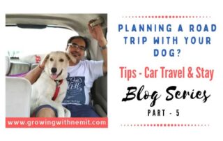 If you are planning a road trip with your dog for the first time then this post is for you. I wish someone had shared these tips with us before our trip.