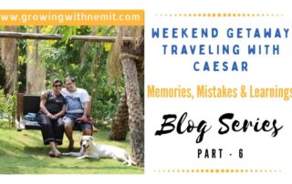 We had no idea what traveling with caesar would feel like.I admit, it was not a perfect trip but, it is still our most memorable trip with our fur baby.
