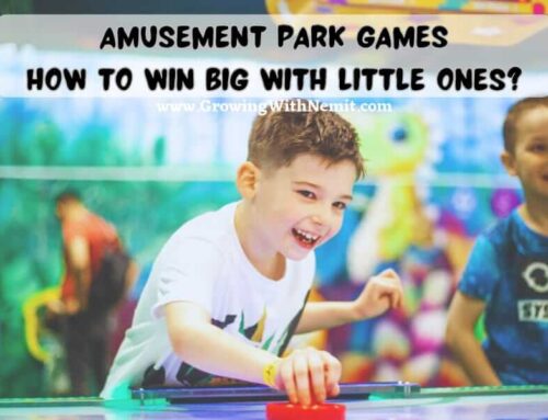 Amusement Park Games 101: How to Win Big With Little Ones?