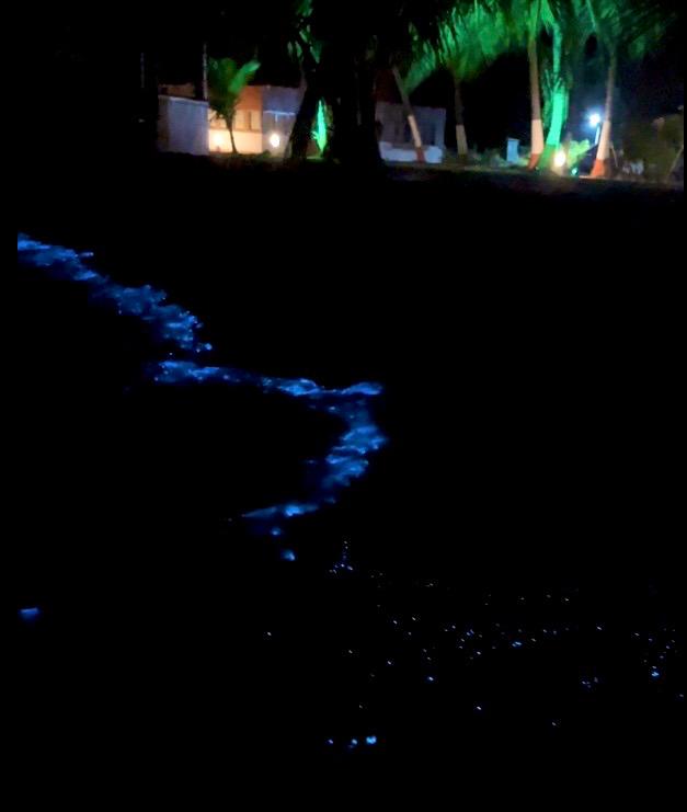 Bioluminescence on Bangaram Island