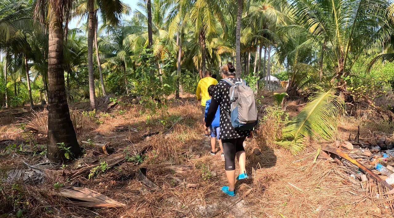 Walk around the Island,5 Easy Yet Fun Activities To Do in Bangaram Island, Lakshadweep 