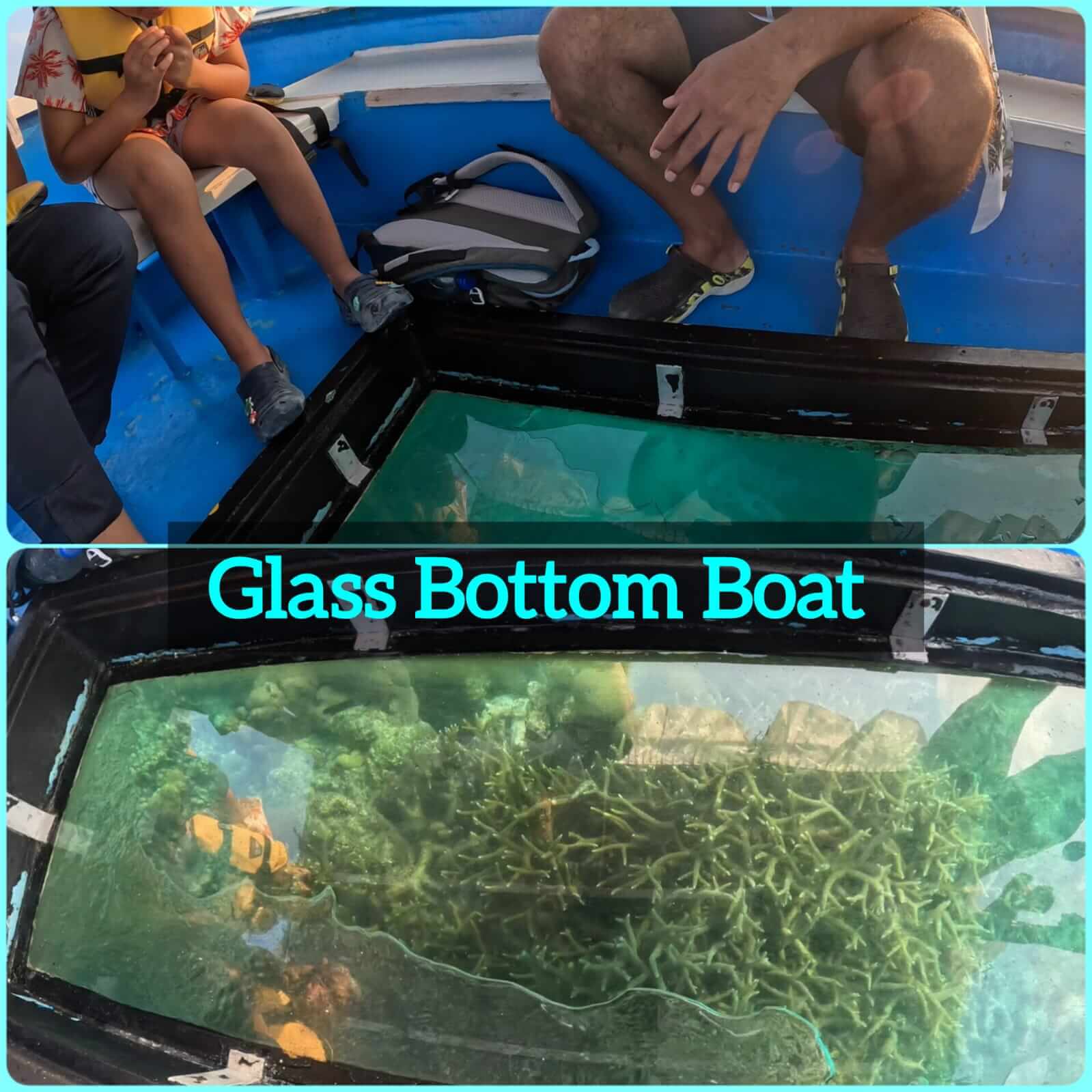 Glass Bottom Boat Tour