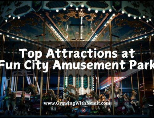 Top Attractions You Can’t-Miss at Fun City Amusement Park