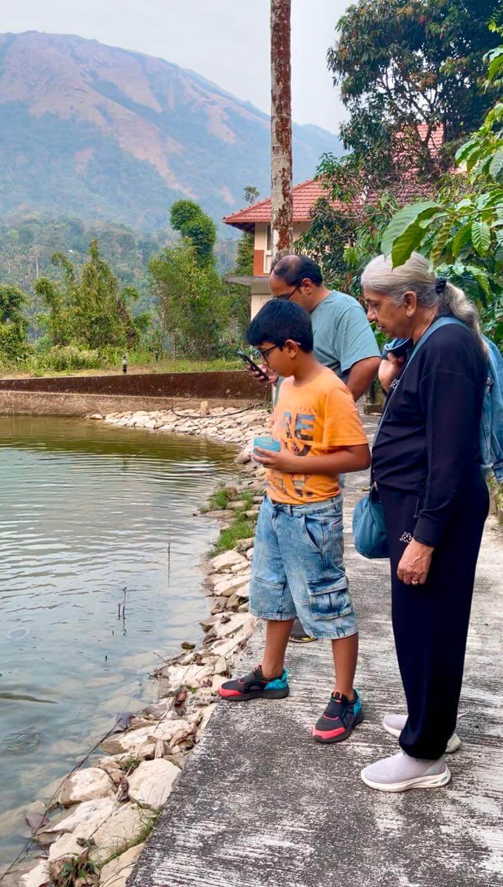 Fish Feeding Activity