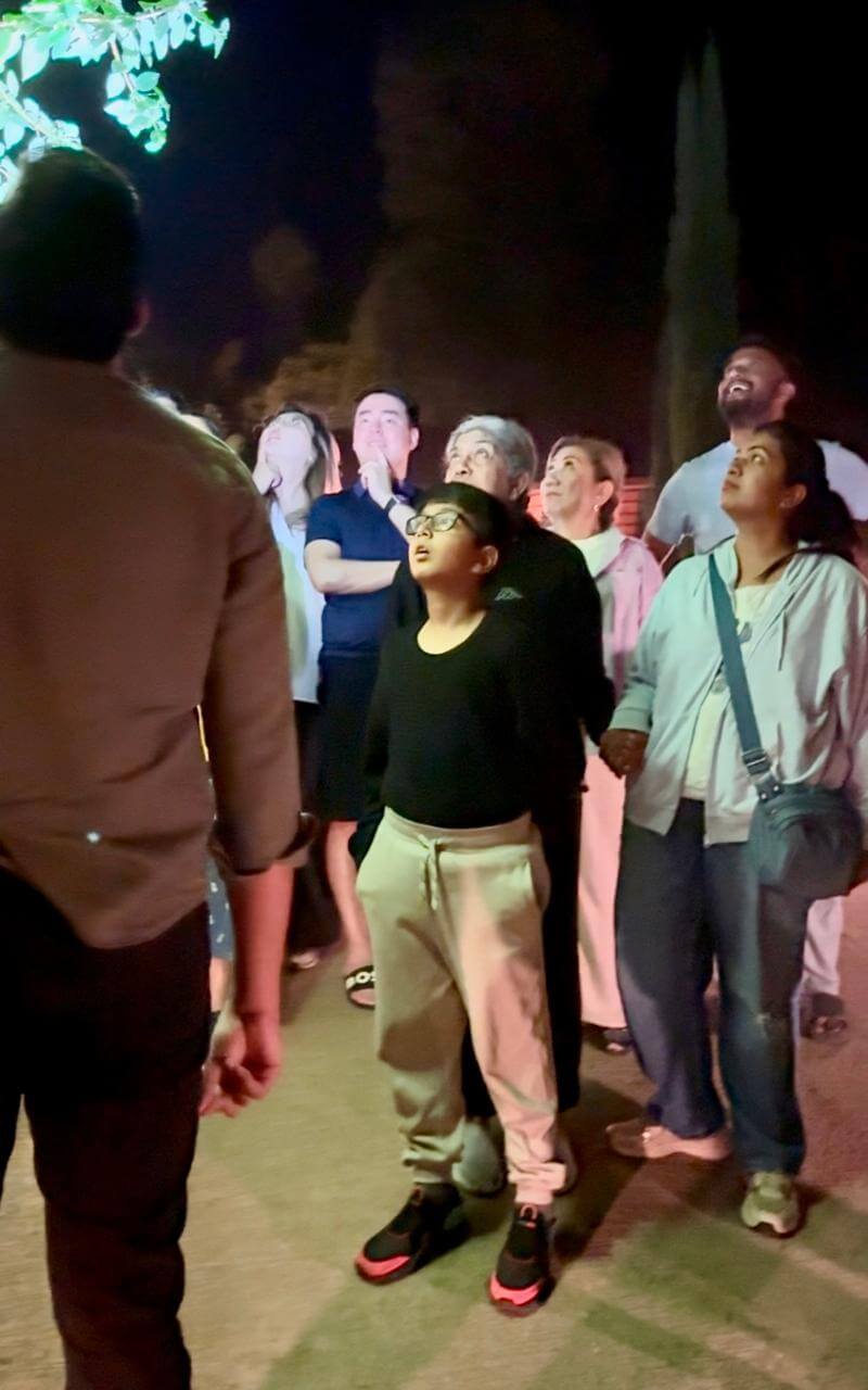 It's a guided walk around the property, focusing on the night life of the forest.