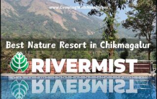 Looking for a relaxing getaway? RiverMist Resorts in Chikmagalur offers the perfect mix of luxury, nature, and adventure for families.