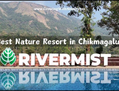 Our Stay at RiverMist Resorts in Chikmagalur | A Weekend Getaway