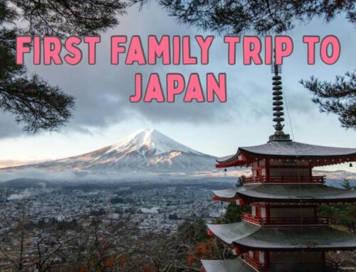 Our First Family Trip Experience with Thrillophilia